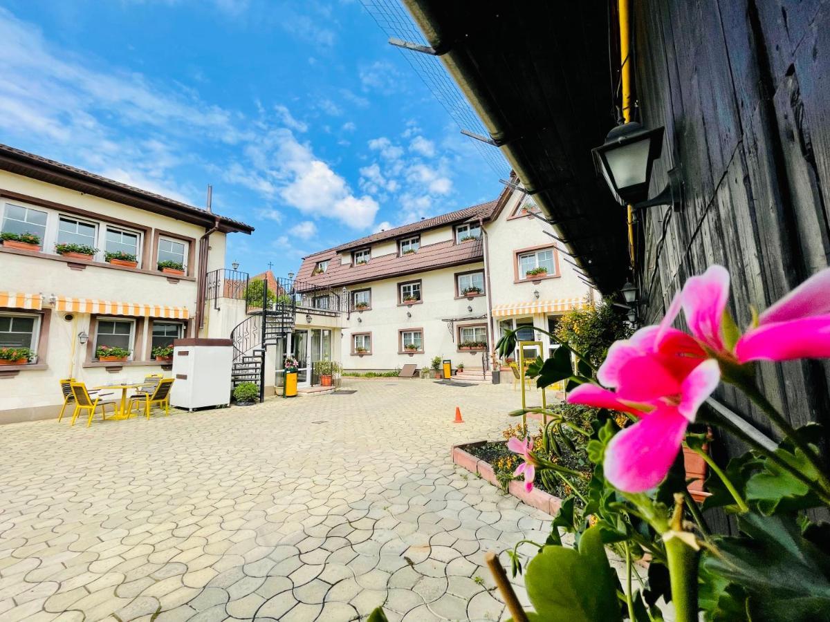 Pensiunea Luiza Guest house 3*