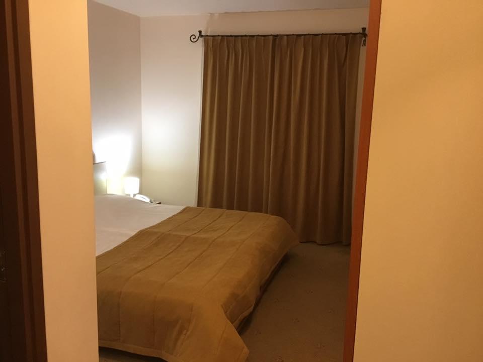 Pensiunea Luiza Guest house Brasov