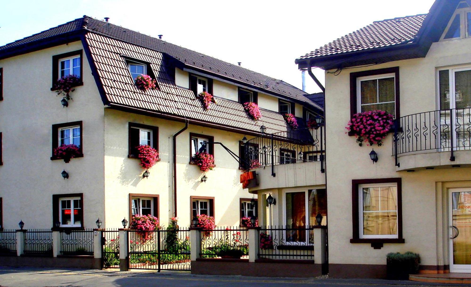 Guest house Pensiunea Luiza 3*
