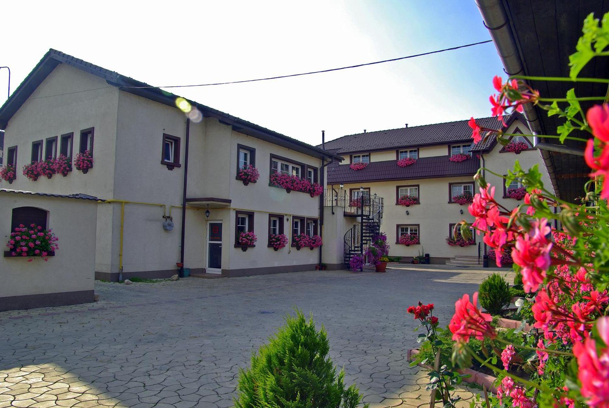 Guest house Pensiunea Luiza 3*