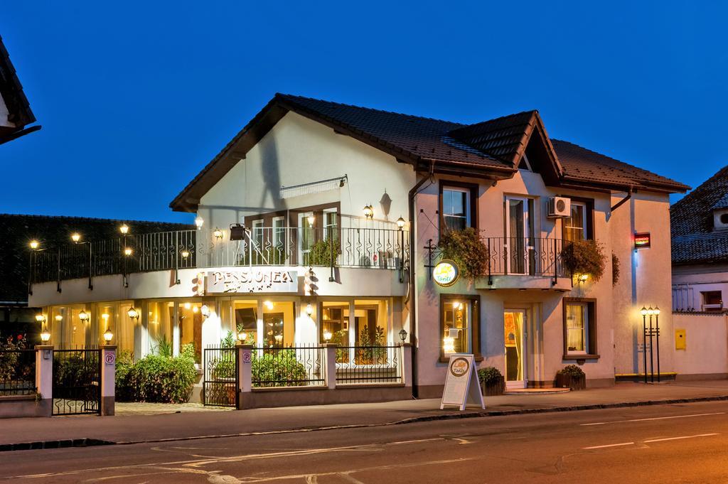 Pensiunea Luiza 3* Brasov