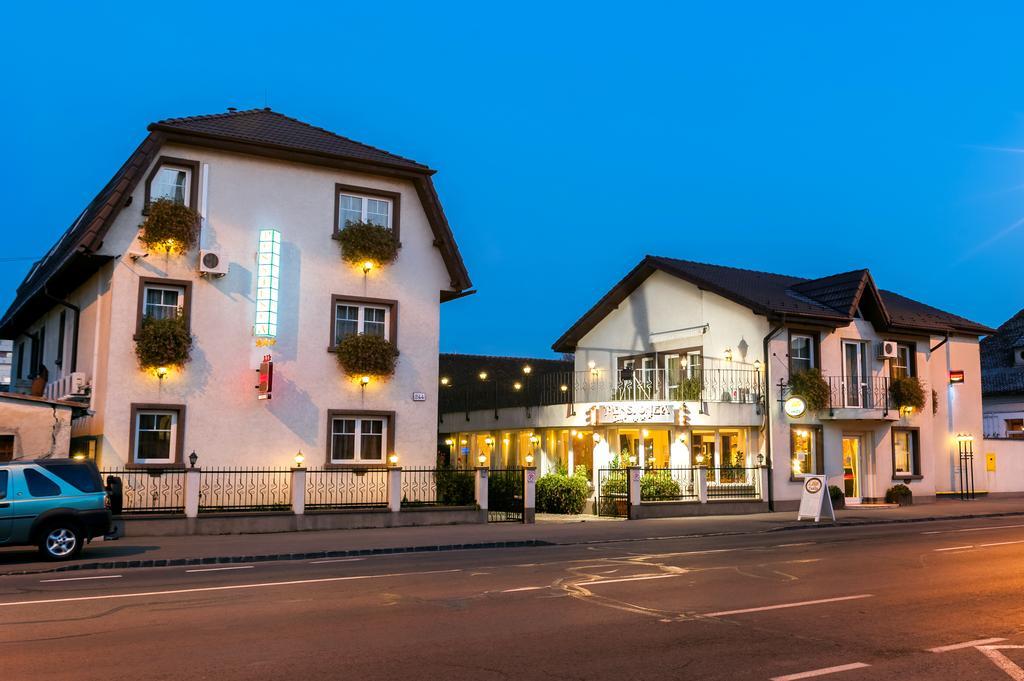 Pensiunea Luiza Guest house
