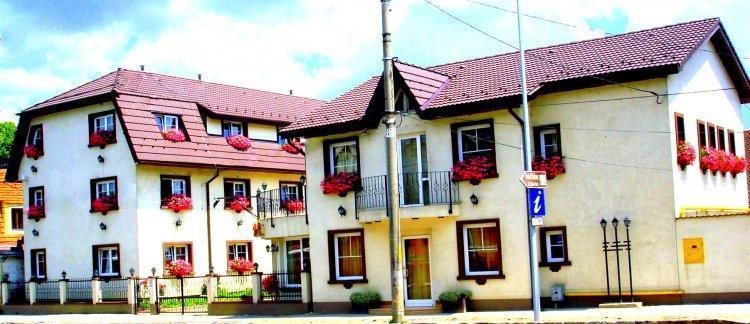 Pensiunea Luiza Guest house