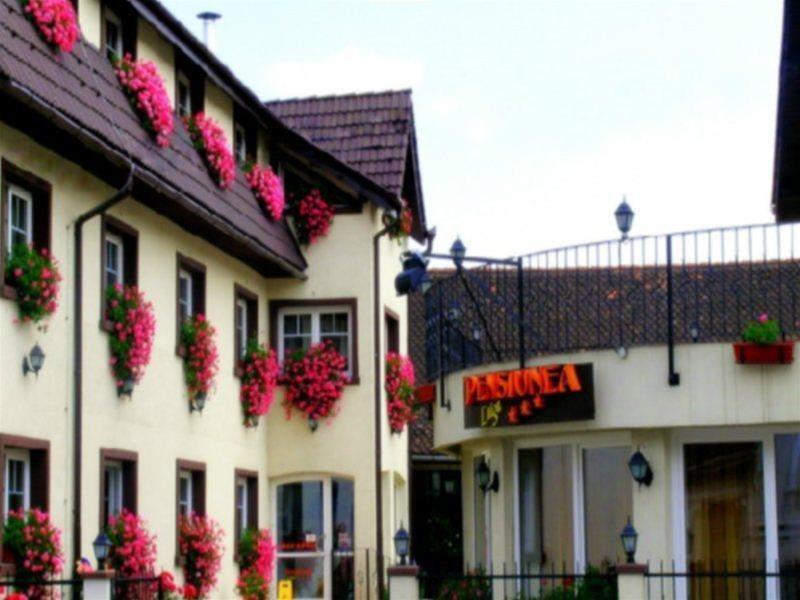 Guest house Pensiunea Luiza Brasov